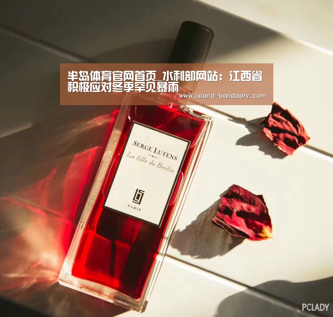 半岛体育app